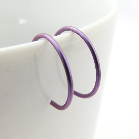 Purple Niobium Hoop Earrings - Eluna Jewelry